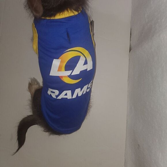 Silver Paw Los Angeles Rams Doggie T Shirt Jersey Size Medium - Picture 12 of 16